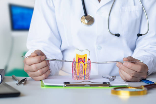 Best Orthodontic Emergency Dentist in Seabrook Farms, NJ